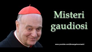 Mons Angelo Comastri – Misteri gaudiosi del Santo Rosario [upl. by Tevlev]