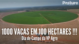 1000 VACAS EM 100 HECTARES  Dia de Campo da VP Agro [upl. by Plank299]