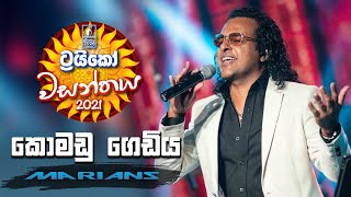 Komadu Gediya  කොමඩු ගෙඩිය   Trico වසන්තය with MARIANS [upl. by Notyal677]