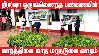 றீச்ஷா ஒருங்கிணைந்த பண்ணையின் கார்த்திகை மாத மரநடுகை வாரம்  reecha [upl. by Colon]