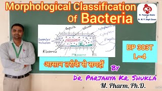 Classification of Bacteria on the Basis of Shape and Morphology  Classification of Bacteria [upl. by Dahsra]