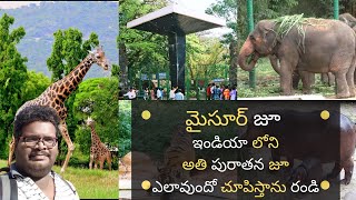 Mysore zoo full tour in Telugu  Oldest zoo in India  Mysore Ep  3 [upl. by Chesnut967]