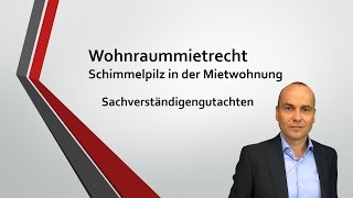 Schimmelpilz in der Mietwohnung  Vortrag für Anwälte 1111  Sachverständigengutachten [upl. by Nhoj]