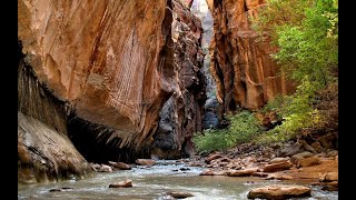 Hiking the Narrows at Zion National Park [upl. by Wallraff998]