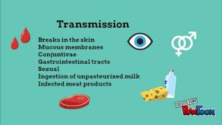 brucellosis animation explained [upl. by Eward]