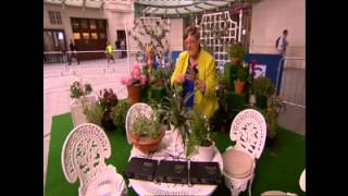 Music of the Plants  Singing Plants on The One Show with Julie Andrews [upl. by Otineb]