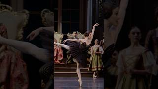 Black Swan Pas de Deux  Benedicte Bemet and Joseph Caley  The Australian Ballet [upl. by Weight]