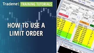 Tradenet training tutorials for the TEFS platform  How to use a Limit Order [upl. by Darla]