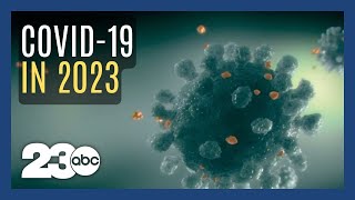 What will the covid pandemic look like in 2023 [upl. by Akirej]