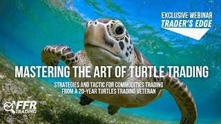 Mastering the Art of Turtle Trading [upl. by Aldredge]