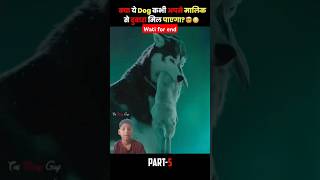 A dog and his sad story🐕‍🦺💔 Part 5 By shorts viralshorts dog dogsthe filmy gay [upl. by Elrak]