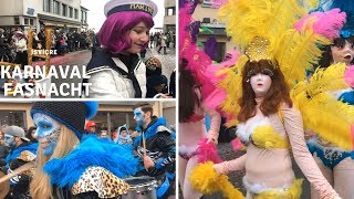 SCHWEIZ  KARNAVAL  FASNACHT  2018 VIDEO  Schwyzer Nüssler [upl. by Hakim]