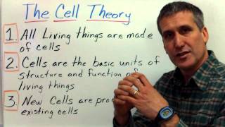 The cell theory and Prokaryotic vs Eukaryotic cells [upl. by Heron]