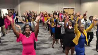 Savannah State University Greek Unity Stroll [upl. by Kerwinn]