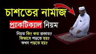 চাশতের নামাজের প্র্যাকটিক্যাল নিয়ম। chaster namaz porar niom ।। চাশতের নামাজ chasht namaz [upl. by Blau]