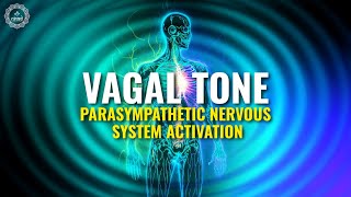 Vagal Tone  Parasympathetic Nervous System Activation  Vagus Nerve Stimulation  741hz Pure Tone [upl. by Jews]