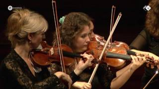 SaintSaëns Havanaise Op 83  Concertgebouw Chamber Orchestra  Live concert HD [upl. by Heather31]