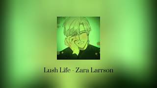 Lush Life  Zara Larrson Slowed  Reverbed [upl. by Utica]