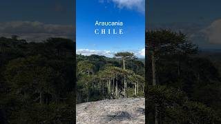 🇨🇱Región de la Araucania travel turismochile outdoors tending shorts shortvideo chile like [upl. by Airotciv306]