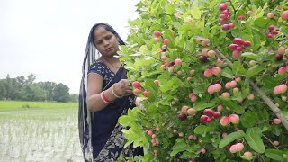 बिना उबाले बनाये करोंदे का खट्टा मीठा अचार जो 1 साल तक ख़राब ना होने वाला Karonde ka Achaar recipe [upl. by Retlaw]