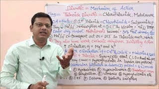 Diuretic Part 06 Thiazide Diuretic Mechanism of Action  Thiazide Diuretics  Diuretics Classi [upl. by Clemence]