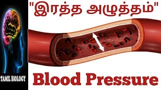 இரத்த அழுத்தம்  Blood Pressure  விளக்கங்கள்  TAMIL BIOLOGY [upl. by Sanders134]