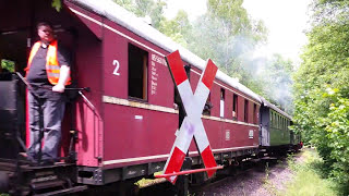 Wiehltalbahn  Bergischer Löwe  Wiehl  Dieringhausen 29052016 [upl. by Casilda]