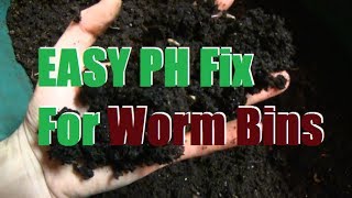 Troubleshooting PH Problems in Worm Bins [upl. by Assirt299]