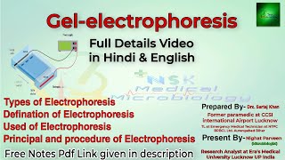 gel electrophoresis  gel electrophoresis in hindi  gel electrophoresis procedure  pathology DMLT [upl. by Thordis708]