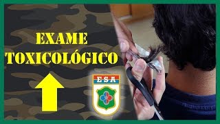 Exame Toxicológico da ESA 💉 [upl. by Cooperman]