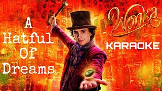 A Hatful Of Dreams KARAOKE Instrumental from quotWonkaquot Timothée Chalamet amp The Cast Of Wonka [upl. by Olathe]