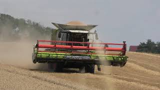 WINTERTARWE DORSEN MET EEN CLAAS LEXION 660 FENDT 724 VARIO [upl. by Aseek]