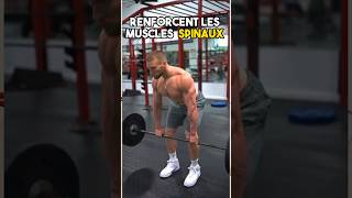 Comment Renforcer Les Muscles Profonds Du Dos [upl. by Ybanrab]