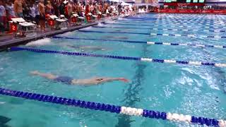 Mens 200 Free E Final  2019 NCSA Spring Swimming Championships [upl. by Nnor]