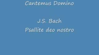 Cantemus Domino Psallite deo nostro JSBach [upl. by Hsara]