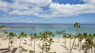 Best Waikiki hotels YOUR Top 10 hotels in Waikiki Honolulu Hawaii [upl. by Slack]