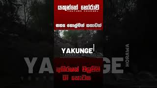 අභිරහස් වලව්ව 01 කොටස  sinhala holman katha horrorstories viral foryou ghost storytime [upl. by Lambertson]