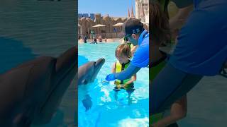 Dolphins giving kiss to kids it so cute water activities for kids [upl. by Jimmie]