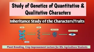 Study of genetics of quantitative and qualitative character inheritance study of characters\traits [upl. by Orfield]