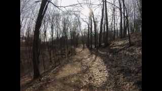 Hiking Saugatuck Dunes State Park  South Trail [upl. by Barlow825]