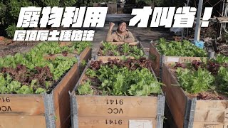 10年經驗分享：打造環保高效蔬菜箱，開啟永續農業新紀元！ [upl. by Ynattib]