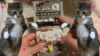 お菓子がキーホルダーに！サンリオ キャラパキ ラバマス入り [upl. by Iak333]