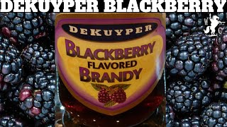 DeKuyper Blackberry Flavored Brandy Review [upl. by Copp646]