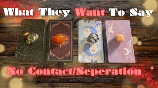 What They Want To Say To YOU 🥺🫢💔BlockedNo Contact Separation  Timeless InDepth Tarot Reading [upl. by Landre47]