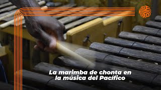 La marimba de chonta y su importancia para la música del Pacífico [upl. by Opaline]