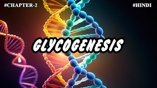 Chapter 2  Metabolism Of Carbohydrates Part6  Glycogenesis [upl. by Orran]