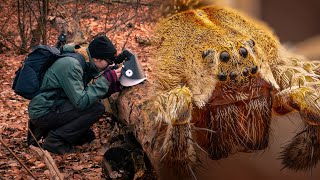 Macro Photography in Winter  Tips amp Technique [upl. by Ecyla615]