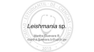 Leishmania sp [upl. by Nosnarb49]