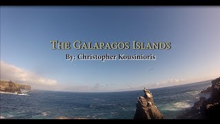 Galapagos Documentary [upl. by Randall]