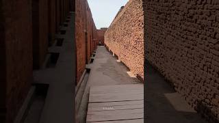 Monastic Cells and Study Rooms  Nalanda University travelholic travel nalanda nalandauniversity [upl. by Linnea]